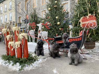 conte noel vieux quebec